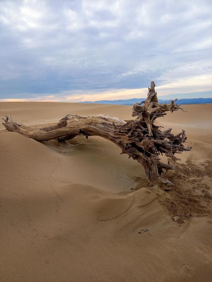 L'Hotelet Del Delta - Adults Дельтебре Экстерьер фото